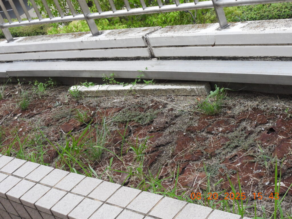 広島市西区_不法投棄-5