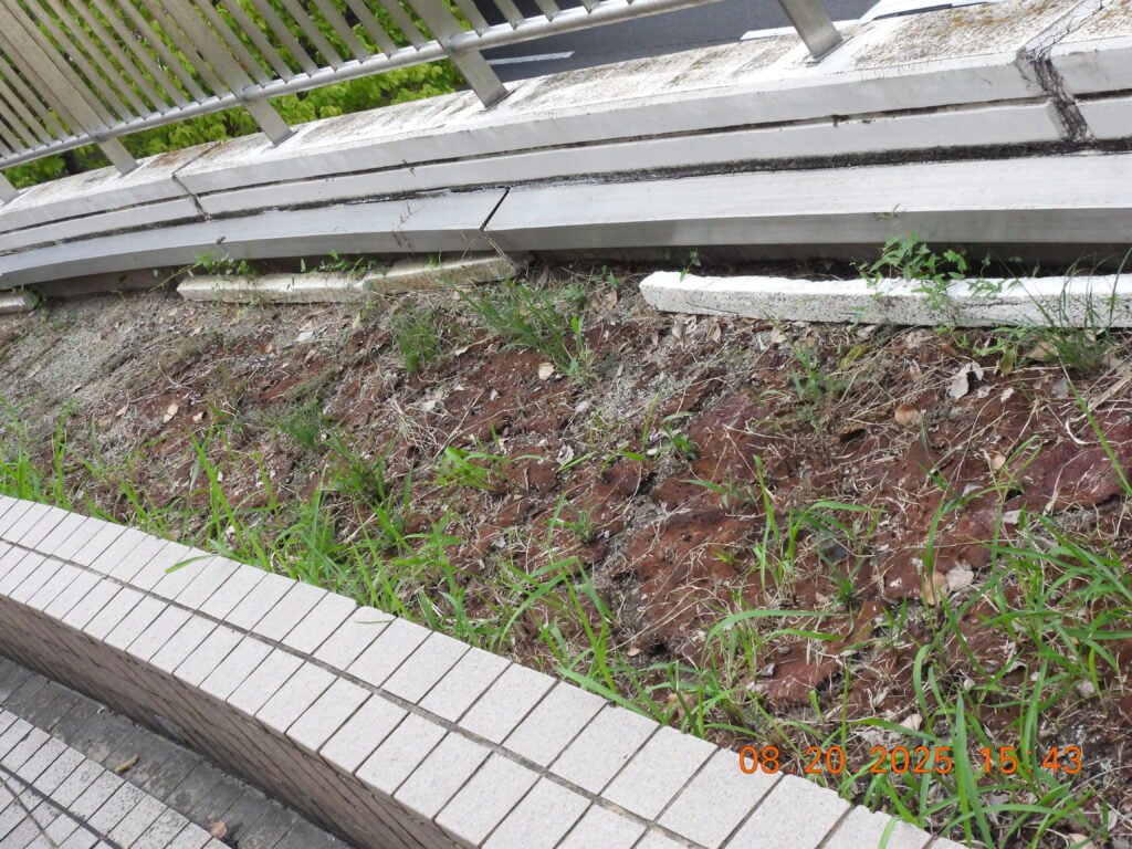 広島市西区_不法投棄-4