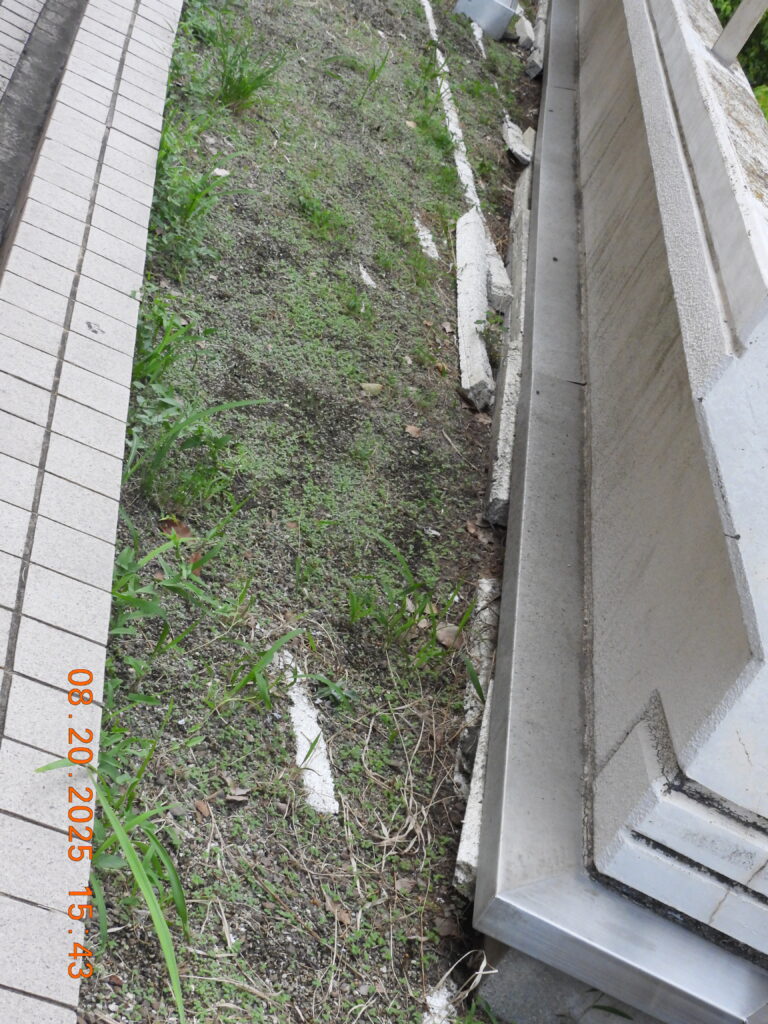 広島市西区-6